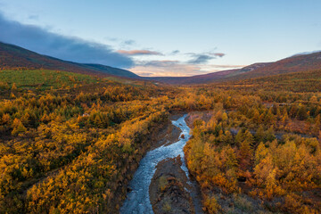 Beautiful autumn landscape. Aerial view of a river in a mountain valley. Trees and bushes with yellow crowns. Traveling and hiking in northern nature. Magadan region, Siberia, Far East of Russia.