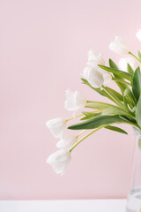 Wall Mural - Bouquet of white tulips in a glass vase against a pink background.
