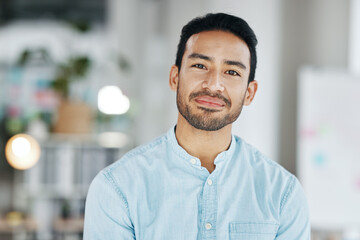 Professional, business and portrait of man in office for executive, confident and pride. Development, corporate and growth with male employee standing in agency for management, expert and director