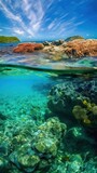 Fototapeta Łazienka - Beneath the Surface: Capturing the Beauty of a Half-Submerged Coral Reef