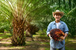 © Paitoon - Asian man holding large palm oil bunch with palm plants background.