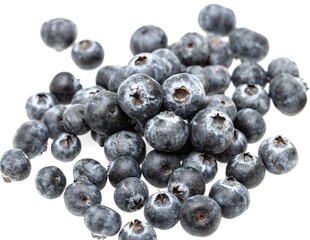 Poster - blueberries on a white background