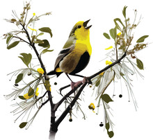bird on a branch