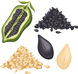 Poster - sesame seed food set cartoon vector illustration