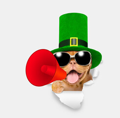 Poster - Saint Patrick's Day concept. Happy mastiff puppy wearing green hat of the leprechaun looks through the hole in white paper and shouts into megaphone