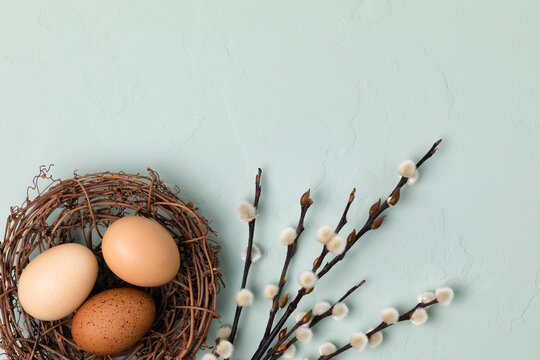 Fototapete - Rustic nest with brown Easter eggs and branches of pussy willow on light blue background. Flat lay, top view with copy space