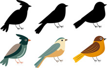 Birds On White Background With Silhouette Isolated, Vector