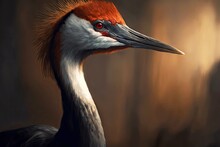 Crane Bird With Long Neck And Red Brown Head, Created With Generative Ai
