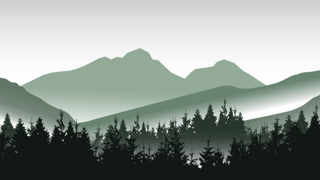 Fototapete - Adventure outdoor camping  hiking wildlife background - Green silhouette of misty fog mountains peak rock and forest woods fir spruce trees, realistic landscape panorama illustration icon vector.