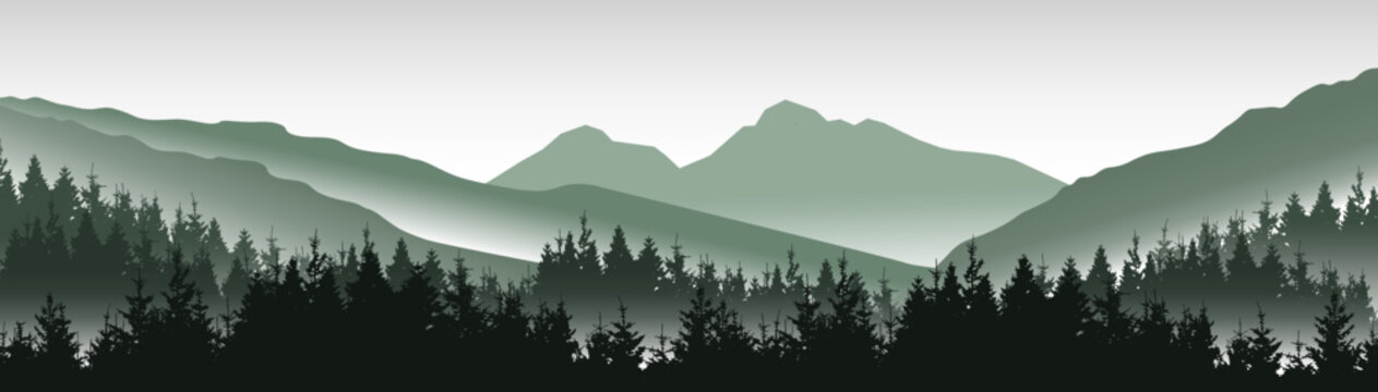 Fototapete - Adventure outdoor camping  hiking wildlife background - Green silhouette of misty fog mountains peak rock and forest woods fir spruce trees, realistic landscape panorama illustration icon vector