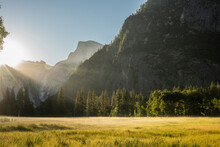 Golden Morning Light Over Meadows Of Yosemite Valley