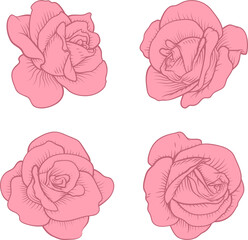 Canvas Print - Set of Roses Rose Flowers in Vintage Woodcut Style