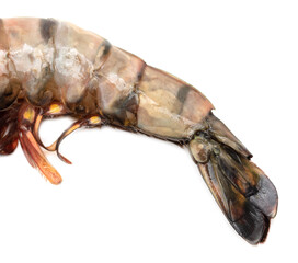 Sticker - King prawn tail isolated on white background.