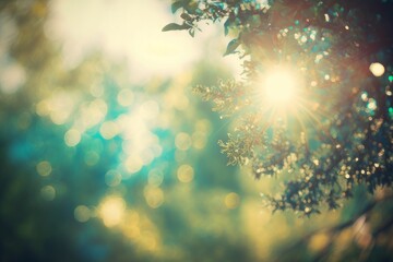 Wall Mural - Summer sunshine backgrounds bokeh. Sunset in the forest. Generative AI