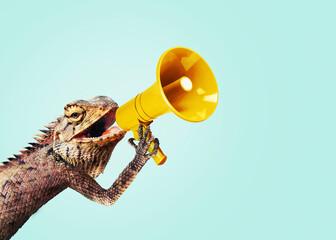 iguana holds a yellow loudspeaker and shouts, attention, concept. management and business, creative 