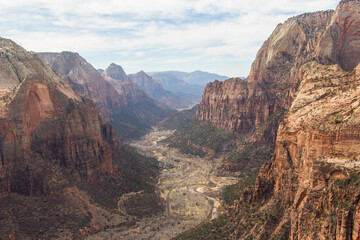 Wall Mural - Amazing views looking down into Zion Canyon while hiking above.