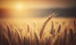  a close up of a wheat field with the sun in the background and a blurry image of a field of wheat in the foreground.  generative ai