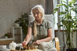 © master1305 - Beautiful senior, retired woman sitting on chair, attentively playing chess. Home interior background. Leisure time and hobby. Concept of family, relationship, retirement, lifestyle, happiness
