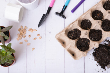 Wall Mural - Planting house plants, soil and seeds top view, flat lay. Spring home gardening