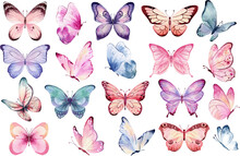 Butterfly Collection. Watercolor Illustration. Colorful Butterflies Clipart Set. Pink Butterfly. Girl Baby Shower Design Elements. Party Invitation, Birthday Celebration. Spring Or Summer Decoration