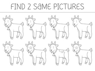 Find two some pictures is an educational game for kids with goat. Cute goat coloring book. Vector illustration.