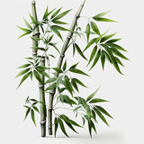 Fototapeta Sypialnia - Bamboo realistic and  white background, Generative AI

