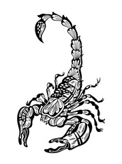 Sticker - Scorpions Logo Template, Unique and fresh Scorpion Vector Illustrations