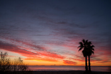 
silhouette of two palm trees on a beach at sunrise in the mediterranean sea