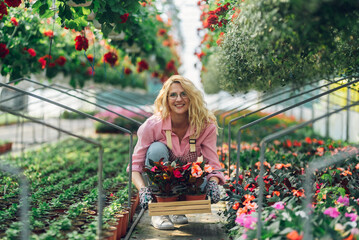 Wall Mural - Young woman working in a greenhouse and taking care of the plants