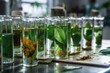 Green herbal leaves, flower scent essence solution, and natural organic extraction in a lab. Generative AI