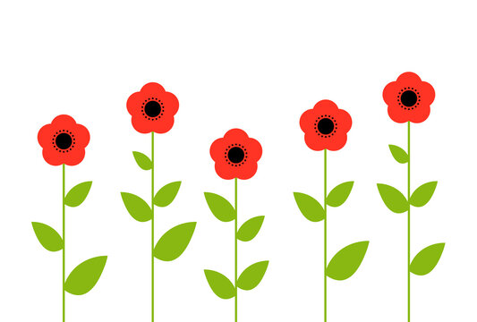 red poppy flower single bouquet illustration vector spring poster. red poppy flower pattern.