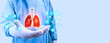 Lungs. Lung problems, tuberculosis, lung cancer. Digital and modern health, pneumoconiosis. NMC. . Surgeon's hand holds a digital lung isolated on light blue background