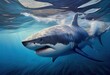 White shark swimming in the ocean. Generative AI. Digital Art Illustration