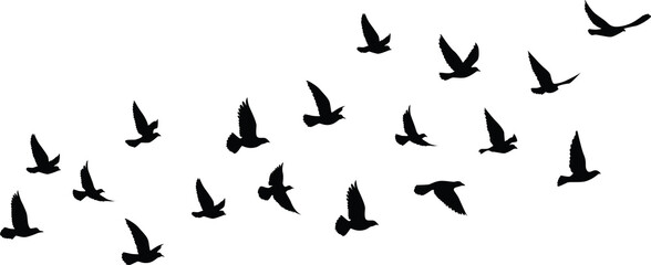 Flying birds silhouettes pattern wallpaper. PNG transparent. isolated bird flying. tattoo design. template for card, package, and wallpaper.