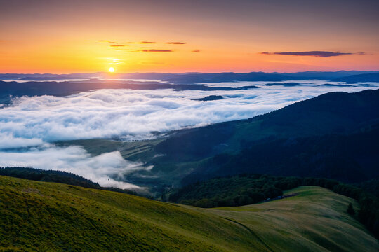 Wall Mural - Magical thick fog covers the mountains in the rays of morning light. Carpathian mountains, Ukraine.