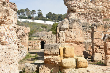 Wall Mural - Subterranean Walls and Walkways in Baths of Antoninus, Carthage Archeological Site