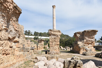 Wall Mural - Single Column atop Roman Bath Ruins at Baths of Antoninus, Carthage