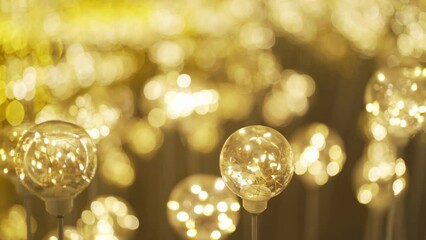 Poster - Flowers. Abstract bokeh blurry background for festive celebration concept. illumination