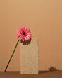 Gerbera flower. Stone Podium for promotion on beige Background. Natural pedestal. Stone podium with gerbera flower. Beauty product mockup. Scene to show products. Showcase, display case. Front View 