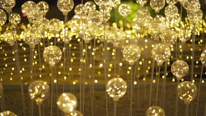 Poster - Flowers. Abstract bokeh blurry background for festive celebration concept. illumination