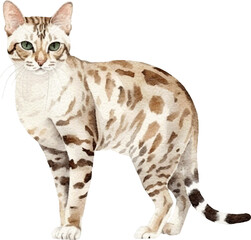 Aufkleber - Bengal cat breed illustration created with Generative AI technology