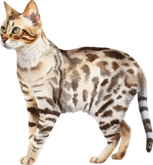 Aufkleber - Bengal cat breed illustration created with Generative AI technology
