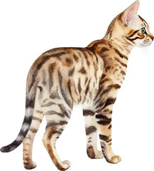 Aufkleber - Bengal cat breed illustration created with Generative AI technology