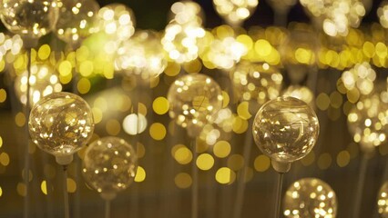 Poster - Flowers. Abstract bokeh blurry background for festive celebration concept. illumination