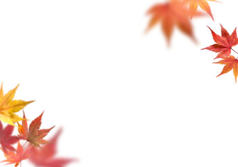 Wall Mural - Red Maple Leaves PNG. Falling Maple Leaves PNG. Yellow Leaves PNG, Flying Leaves, autumn leaves on white