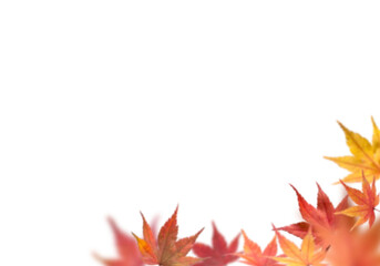 Wall Mural - Red Maple Leaves PNG, autumn leaves frame