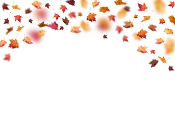 Wall Mural - autumn leaves border, Falling Maple Leaves PNG. Yellow Leaves PNG, Flying Leaves, autumn leaves on white. on top 