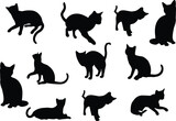 Fototapeta Koty - silhouettes of cats