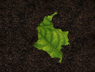 Poster - 3D illustration of Colombian map made of green leaf on soil background - concept of ecology