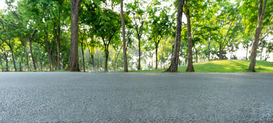 Canvas Print - Empty highway asphalt road in landscape green park